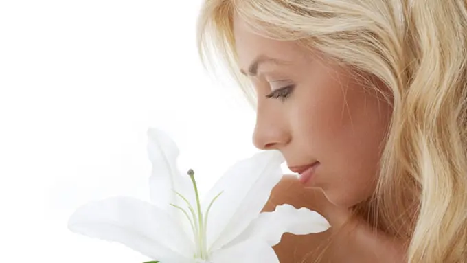 (c) shutterstock.com