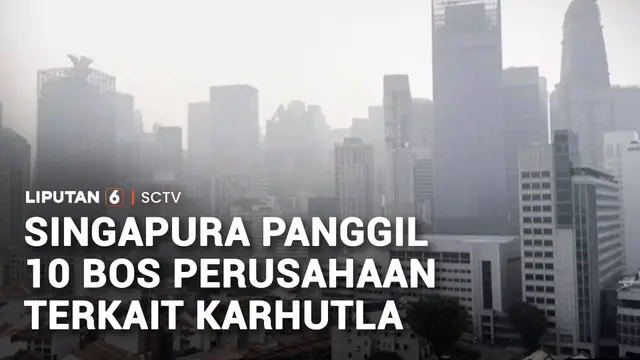 Diduga Pemicu Karhutla, 10 Petinggi Perusahaan Dipanggil Wakil PM Singapura