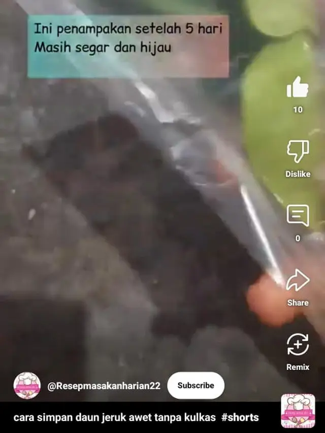 Cara Menyimpan Daun Jeruk (Credit: Youtube/Resep anna zln @Resepmasakanharian22)