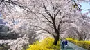 Orang-orang berjalan di bawah pohon sakura di Seoul, Korea Selatan, pada 6 April 2022. Musim semi telah tiba, saatnya berburu bunga sakura yang bermekaran. (ANTHONY WALLACE / AFP)