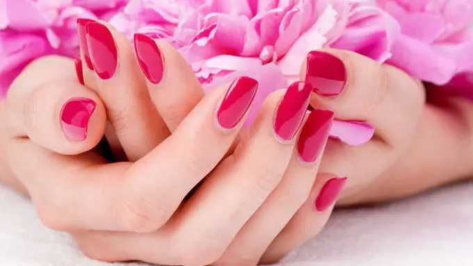 (C) shutterstock.com