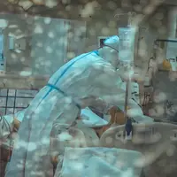 Ilustrasi/copyrightshutterstock/shutter_o