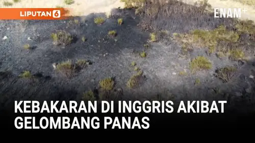 Gelombang Panas Picu Kebakaran Besar di London