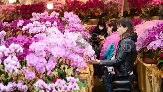 6 Tradisi Unik Libur Imlek 2026 di Hong Kong, Dimulai dari Belanja Bunga Keberuntungan