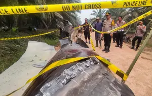 Puing Roket China Jatuh di Kebun Sawit Kalimantan