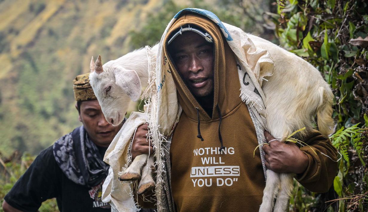 Seorang pria membawa seekor kambing sebagai persembahan saat berjalan mendaki Bukit Widodaren menjelang upacara Yadnya Kasada di kaki Gunung Bromo, Jawa Timur, pada Minggu 31 Mei 2026. (JUNI KRISWANTO/AFP)