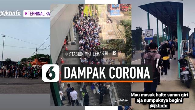 THUMBNAIL CORONA