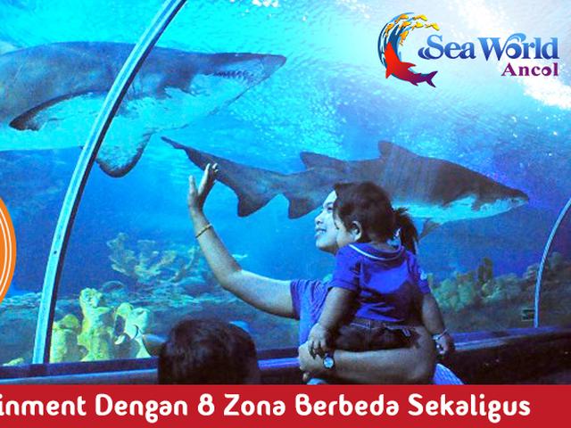 Kini Rekreasi Sambil Belajar Di Seaworld Lebih Hemat Lifestyle Liputan6 Com Museum seaworld ancol di museum seaworld ancol, terdapat berbagai jenis hewan laut yang sudah diawetkan dan dimasukkan ke dalam kaca. kini rekreasi sambil belajar di