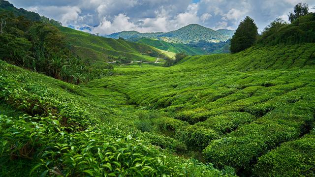 ilustrasi pegunungan