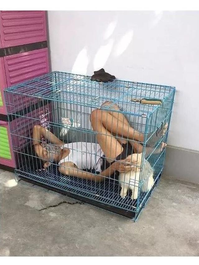 6 Tingkah Absurd Orang Masuk Kandang, Enggak Habis Pikir