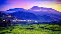 Kawasan Puncak Bogor tak hanya menjadi magnet kuat bagi warga Jakarta dan sekitarnya untuk berlibur, kini juga menjadi peluang investasi yang menggiurkan.