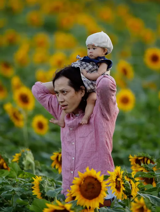 Kazushi Okada membawa putrinya mengunjungi ladang bunga matahari di Grinter Farms, dekat Lawrence, Kansas, 8 September 2018. Ladang bunga Matahari itu menarik wisatawan pada akhir pekan selama musim panas saat bunga bermekaran. (AP Photo/Charlie Riedel)
