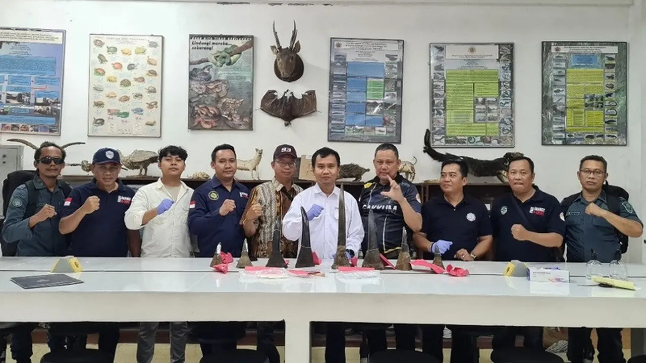 perdagangan cula badak senilai 245 miliar rupiah menjadi kasus terbesar di Indonesia