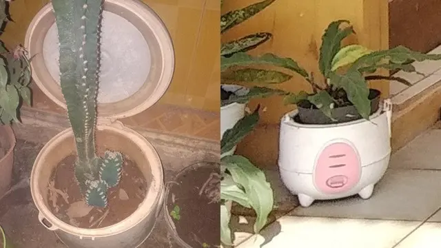 Terlalu Kreatif, Ini 6 Potret Barang Nyeleneh di Rumah