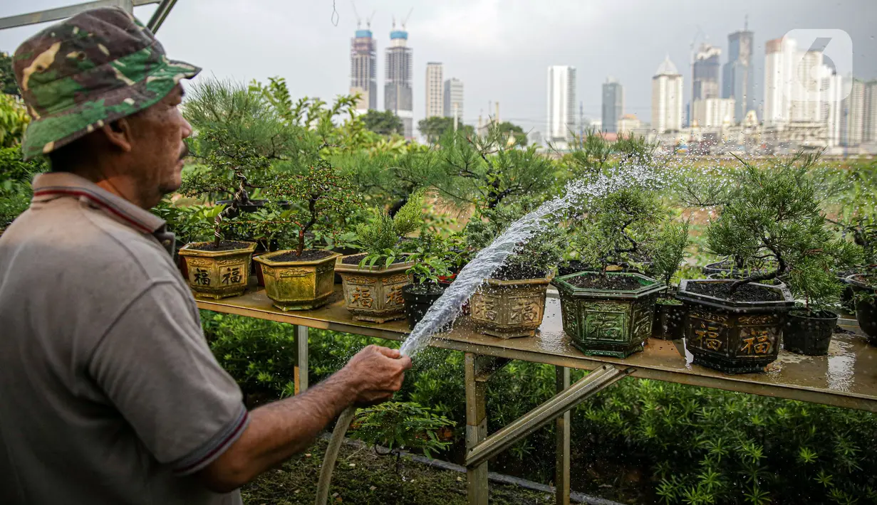 Petani menyiram tanaman di bantaran Kali Ciliwung, Petamburan, Jakarta Pusat, Senin (24/5/2021). Kelompok Mandiri Indah Tani sudah enam tahun memanfaatkan lahan bantaran Kali Ciliwung untuk bertani bersama. (Liputan6.com/Faizal Fanani)