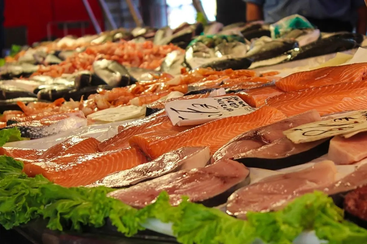 5 Resep Ikan Tuna dengan Berbagai Hidangan yang Lezat dan Sehat, Bikin Ketagihan