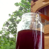 Memanen hasil madu dari pembudidayaan lebah secara otomatis tanpa harus mengusik sang lebah.