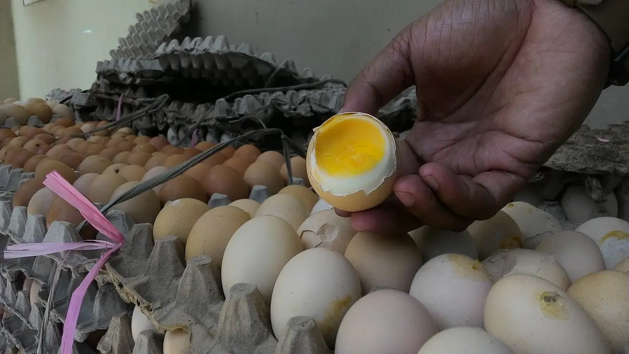 Telur Besuk