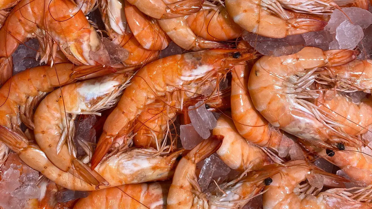 seafood