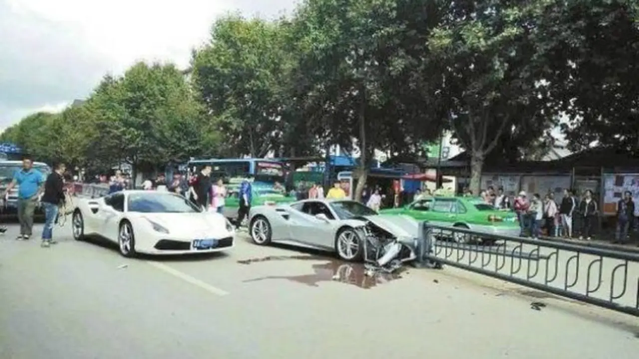 Ferrari vs puppy (0)