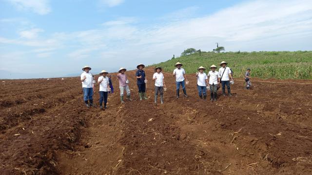 Holding Perkebunan Nusantara PTPN III (Persero)