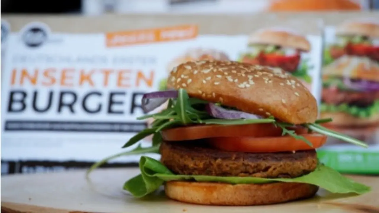 Burger dari cacing kerbau (Dunyanews)