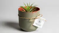 Cara Membuat Pot Tanaman dari Thinwall Bekas, Simpel dan Jadi Peluang Usaha
