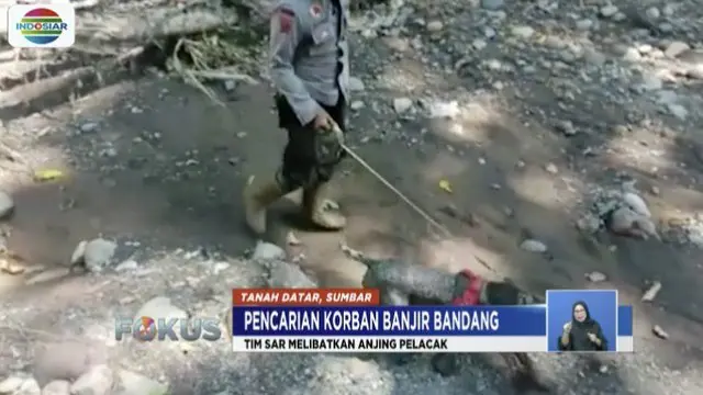 Polisi Kerahkan Anjing Pelacak Cari Korban Banjir Bandang Padang