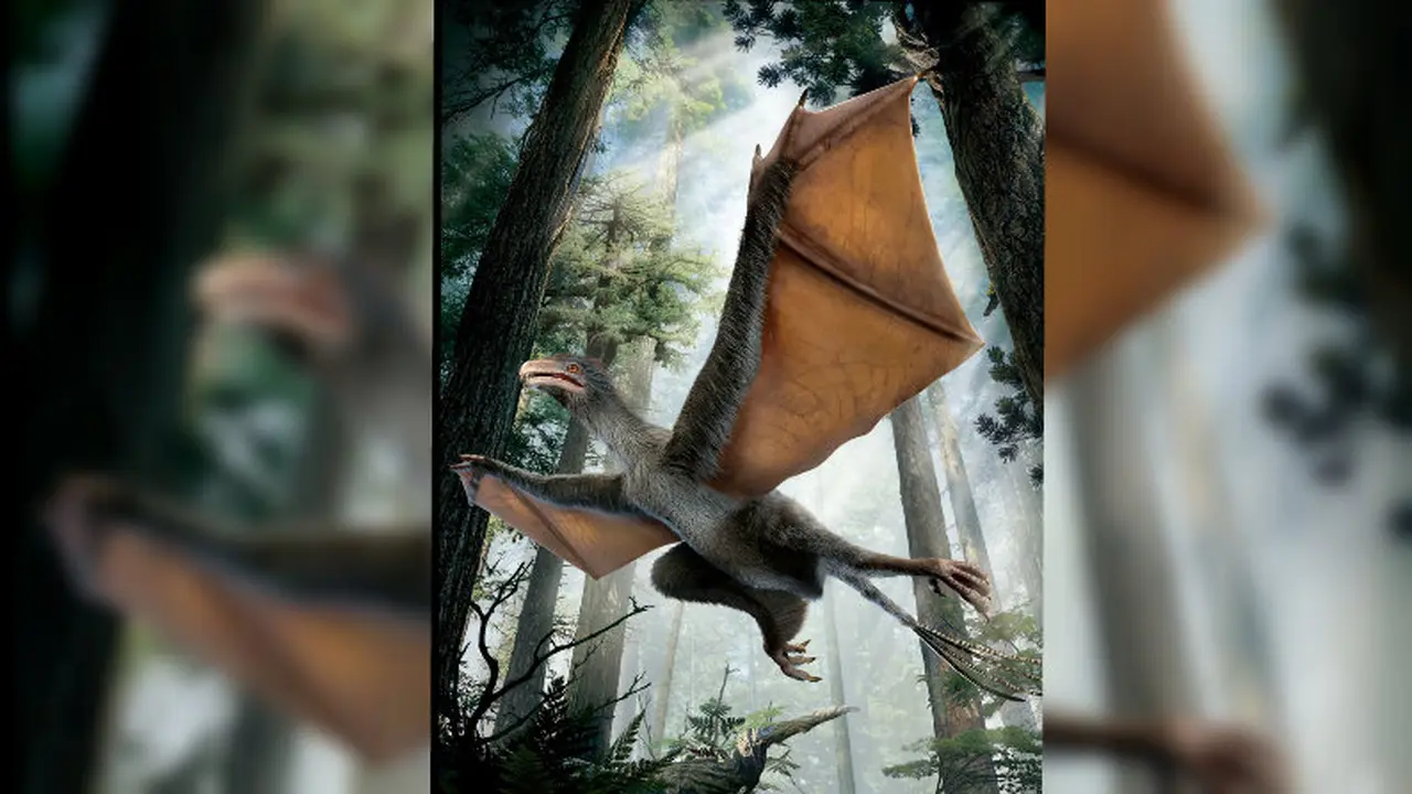 Yi qi, dinosaurus bersayap kelelawar 