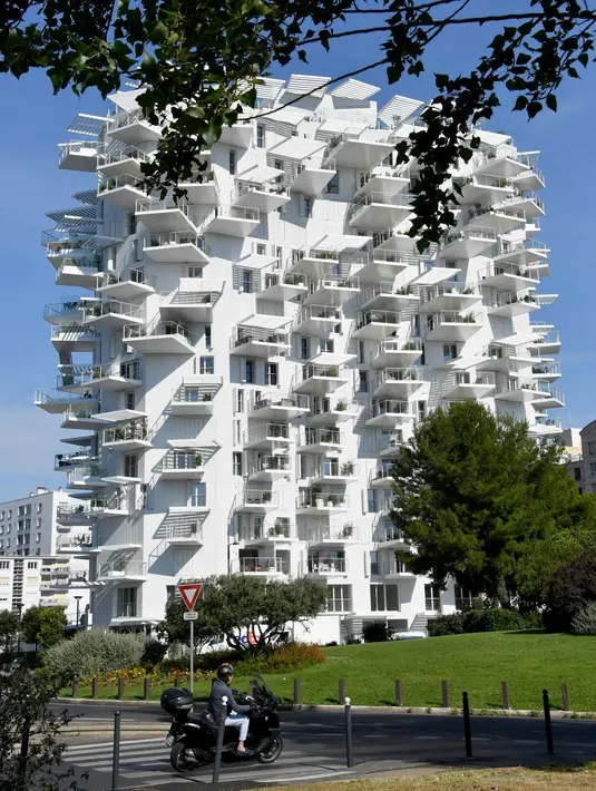 Foto pada 3 Juni 2019, sebuah bangunan "L'arbre blanc" (White Tree) di Montpellier, Prancis selatan. Struktur melengkung pohon putih terinspirasi oleh tradisi lama Montpellier yang menganut paham hidup berdampingan dengan alam. (Pascal GUYOT/AFP)