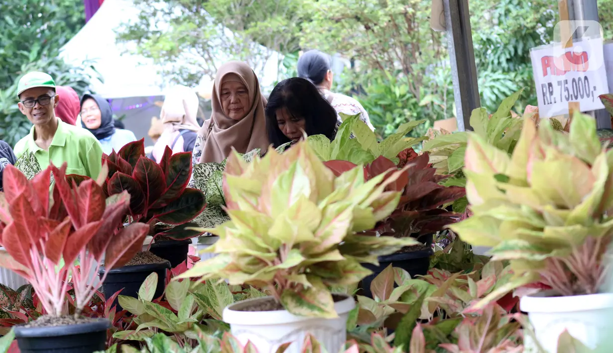 Pengunjung melihat-lihat tanaman yang dijual pada pameran Keanekaragaman Hayati Nusantara Expo di Lapangan Banteng, Jakarta, Sabtu (30/11/2019). Pameran dalam rangka memperingati Hari Cinta Puspa dan Satwa Nasional 2019 ini berlangsung hingga 8 Desember mendatang. (Liputan6.com/Helmi Fithriansyah)