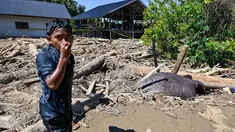 Seorang anak laki-laki berdiri di samping seekor gajah Sumatra mati yang terkubur lumpur di daerah terdampak banjir di Meureudu, Kabupaten Pidie Jaya, Provinsi Aceh, pada 30 November 2025. Tidak hanya manusia, bencana hidrometeorologi akibat siklon tropis Senyar di Aceh juga berdampak pada kehidupan satwa liar. (CHAIDEER MAHYUDDIN/AFP)