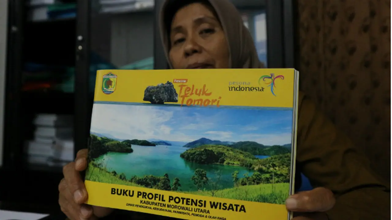 Tentang Teluk Tomori, Objek Wisata yang Ditawarkan RI ke Putra Mahkota UEA