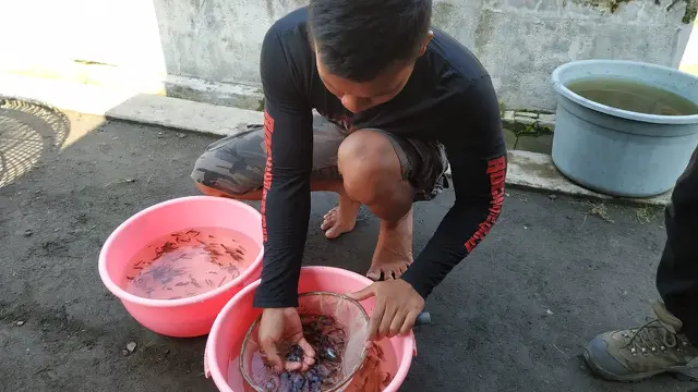 Demam Berdarah di Kediri