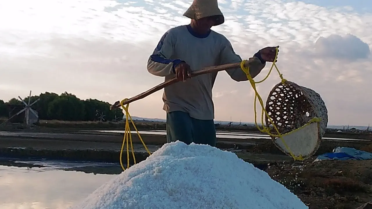 Butuh Untung, Jual Cepat Garam Madura