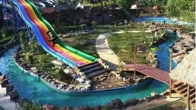 7 Potret Apes Orang Main di Kolam Renang Ini Bikin Geleng Kepala