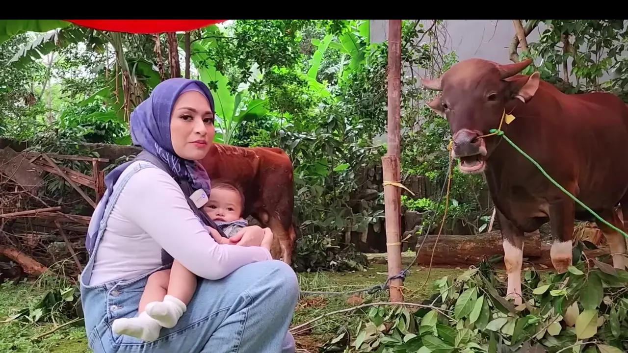 Pertama Kali Kurban Sejak Mualaf, Nathalie Holscher Baru Mengerti Mengapa Sapi Menangis Saat Akan Disembelih