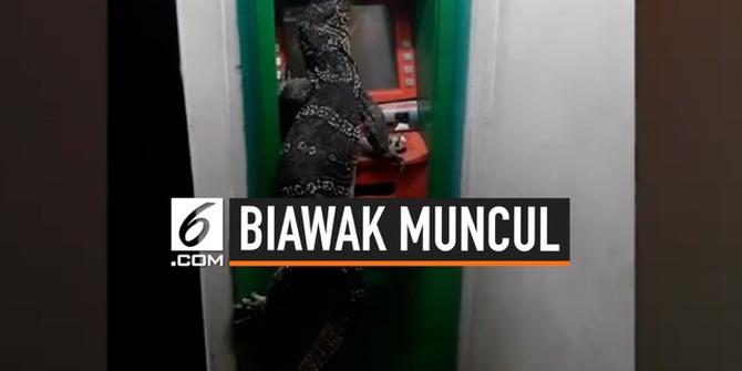 VIDEO: Lagi, Biawak Menempel di Mesin ATM Gegerkan Warga