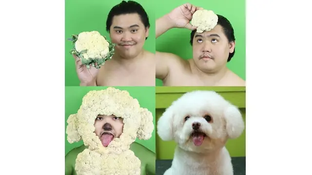 6 Cosplay Low Budget Pakai Sayuran Ini Bikin Ngakak