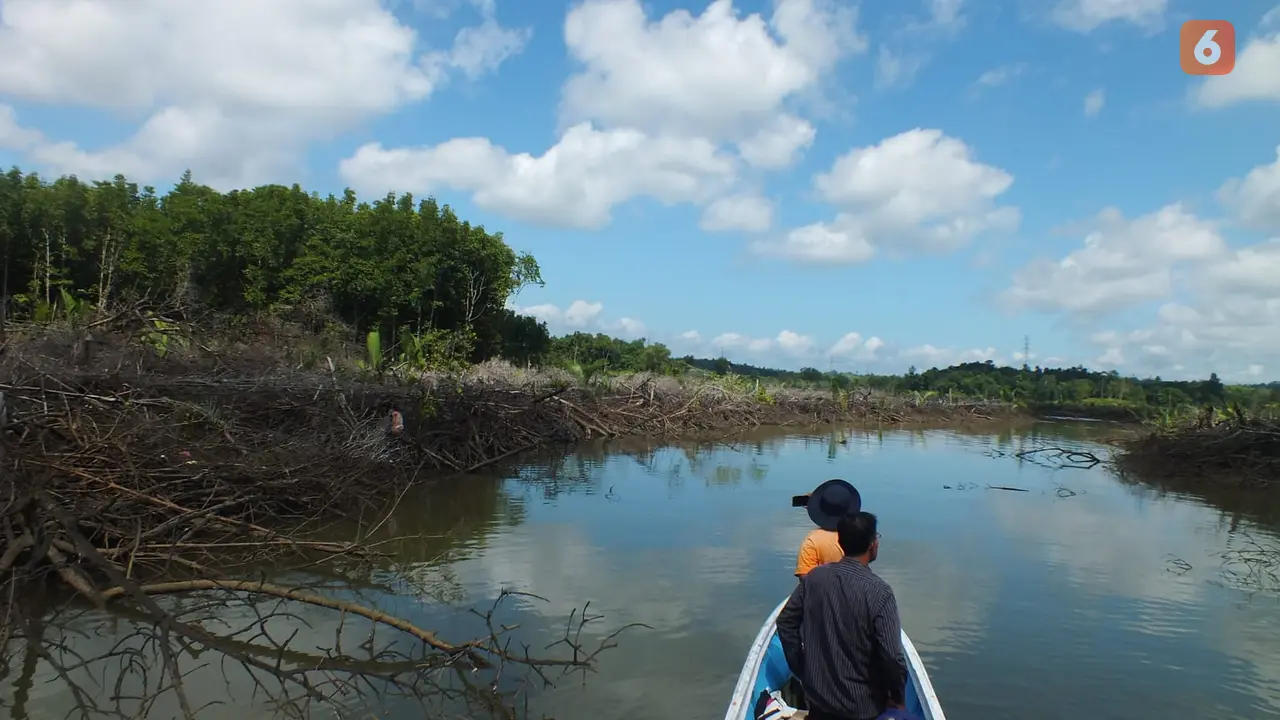 Hutan Mangrove