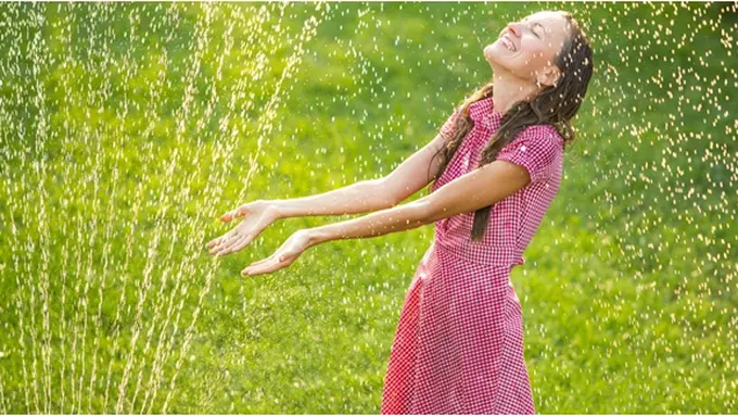 Courtesy ShutterStock.com