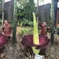 Rhenald Kasali berdiri di samping bunga bangkai raksasa. Foto: Rhenald