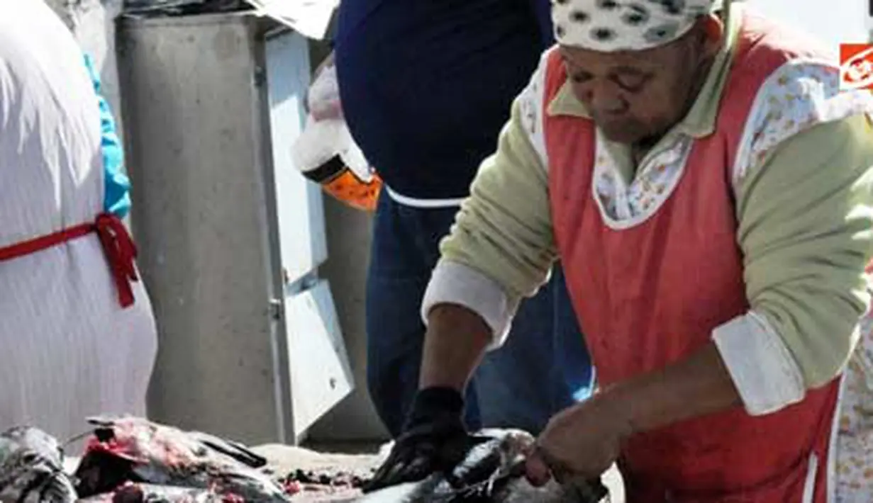 Ikan hasil tangkapan nelayan Kalk Bay, Cape Town, Afsel.