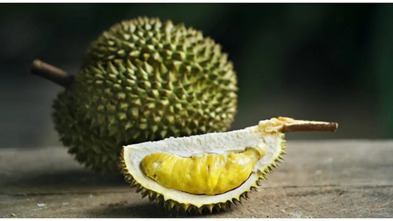 Foto: copyright Shutterstock.com