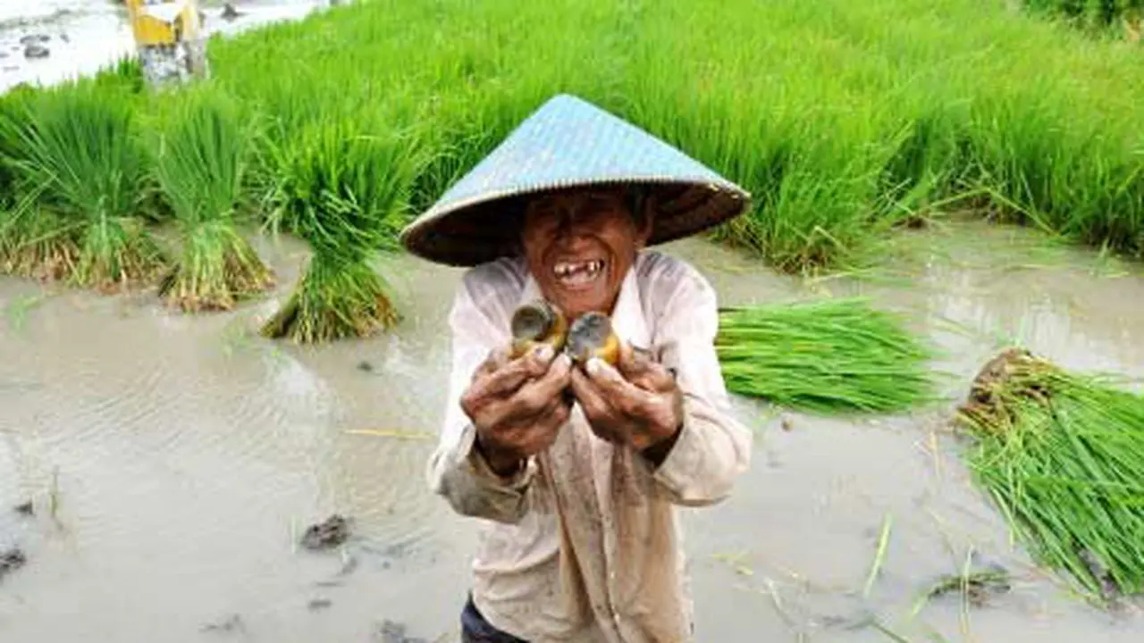 120108bfotobig_hama-keong.jpg