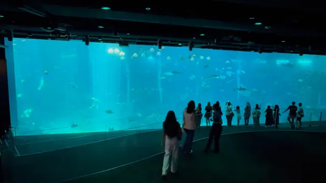 Open Ocean di Singapore Oceanarium. [Dok. Resorts World Sentosa]