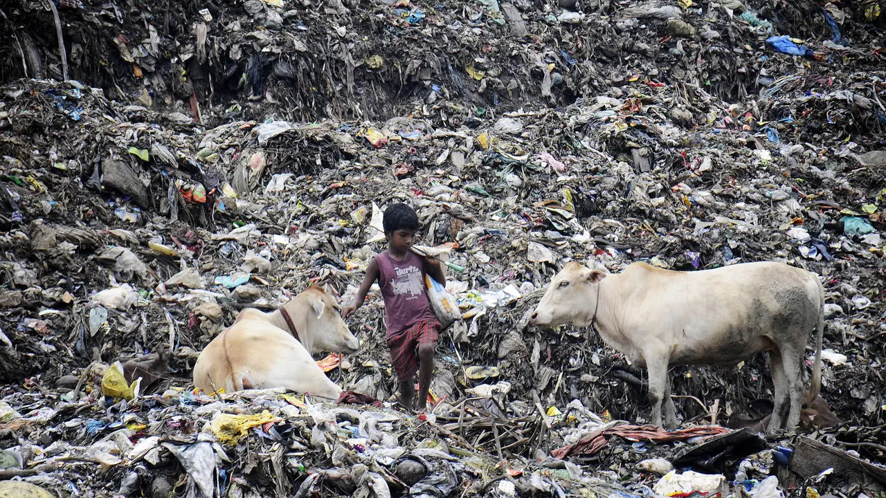 Tumpukan sampah di kota Mumbai yang tak biasa ini diibaratkan sebagai gunung sampah (AFP) 