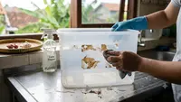 Cara Menghilangkan Bekas Stiker pada Wadah Plastik, Bersih Tanpa Merusak Permukaan