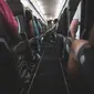 Ilustrasi suasana kabin pesawat yang penuh penumpang. (dok. Pexels/Dinny Mutiah)