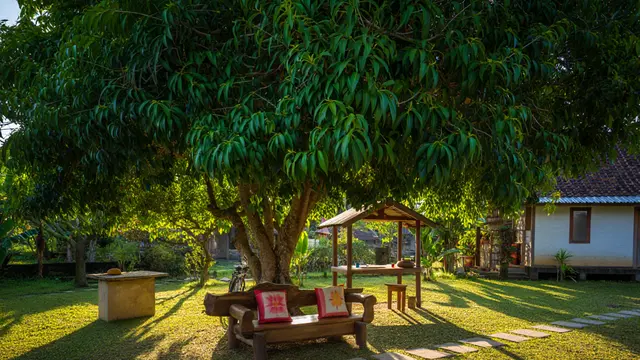 Ide Rumah Sederhana Sejuk di Desa dengan Pohon Buah (AI)